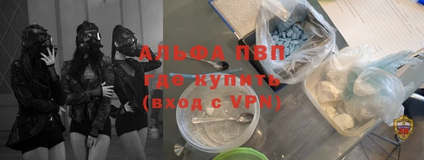 молекула духа Арсеньев