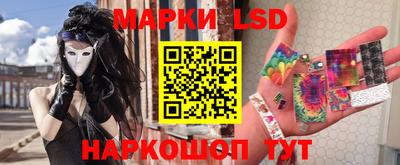 тгк Кингисепп