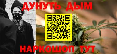 тгк Кингисепп