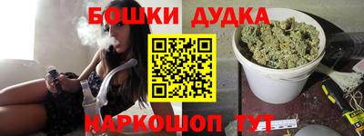 тгк Кингисепп