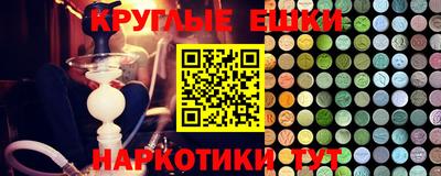 тгк Кингисепп