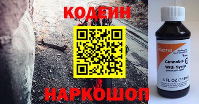 тгк Кингисепп