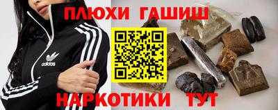 тгк Кингисепп