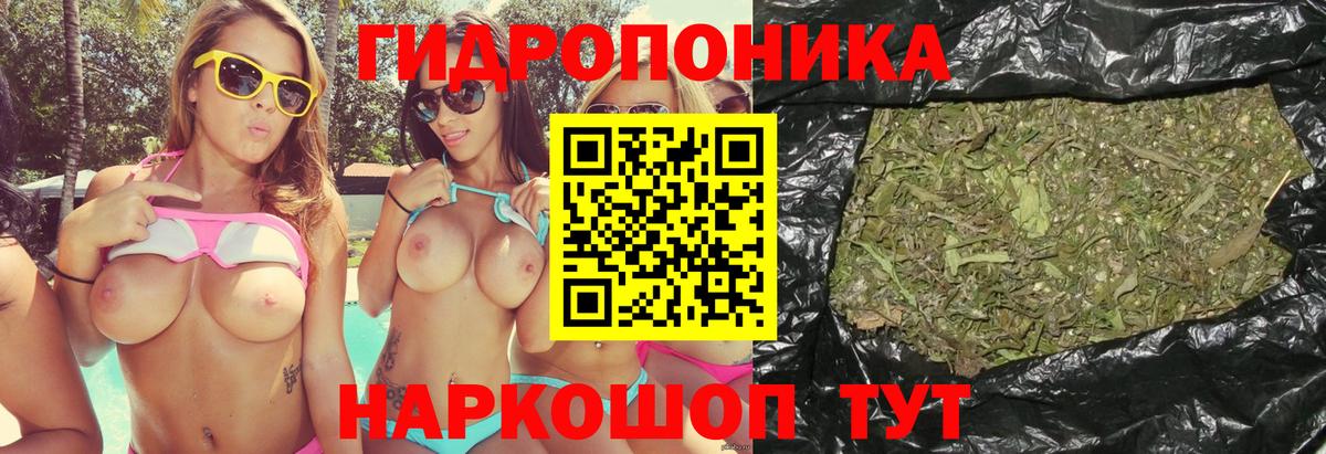 Каннабис MAZAR Кировск